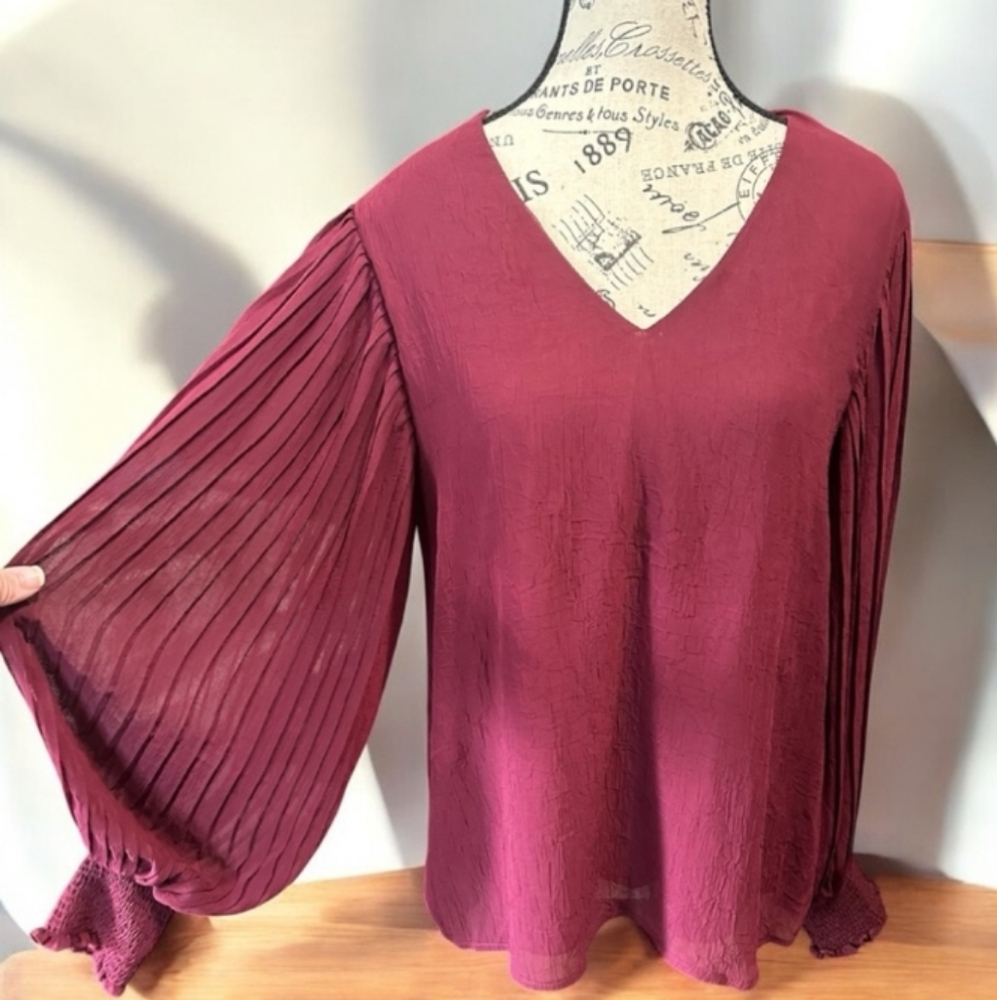 Entro Burgundy V-Neck Blouse Size M NWT - Picture 4 of 9